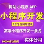阜陽正規(guī)公司精品站服務與軟件外包服務解析