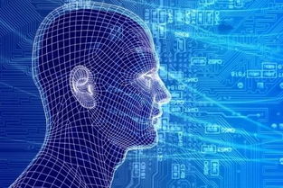 五年奮斗，從高職到復旦——一名互聯網技術開發者的逆襲之路