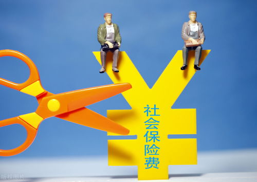 車輛保險(xiǎn)費(fèi)與勞務(wù)服務(wù)的進(jìn)項(xiàng)稅額扣除問題解析